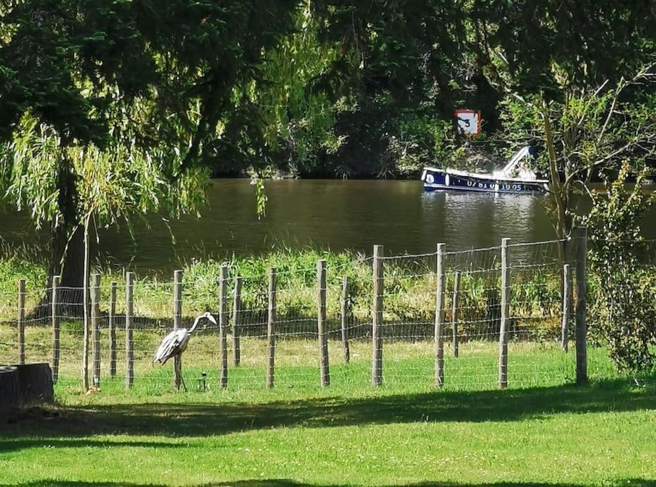 Le Ponton Des Sympetrums Aurec-Sur-Loire 外观 照片